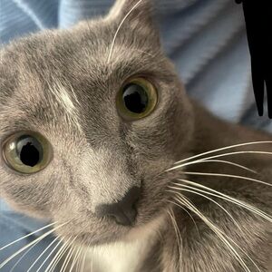 Meet your Posher, Jade